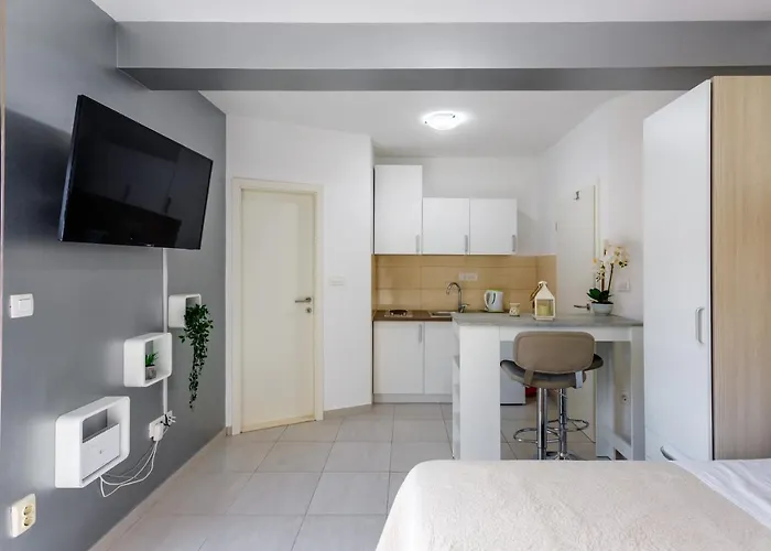Apartment Luxury Budimir *