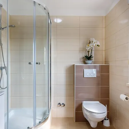 Апартаменты Luxury Budimir