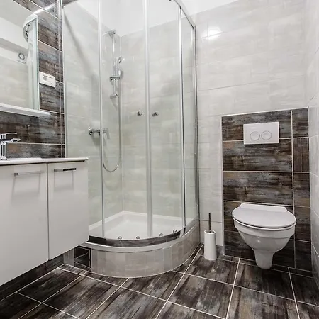 Апартаменты Luxury Budimir *